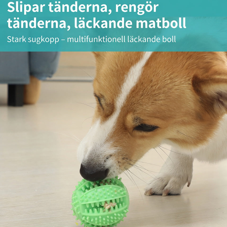 TUGGY™ – Tuggboll med sugfäste