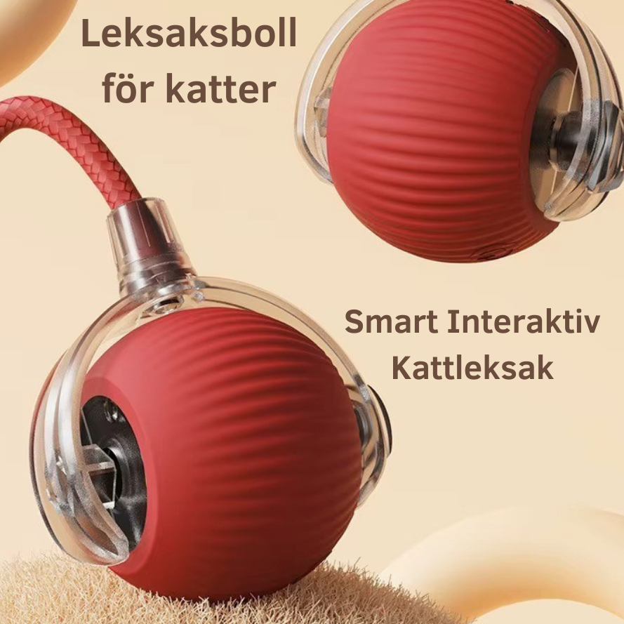 ZOE - Interaktiv Kattboll