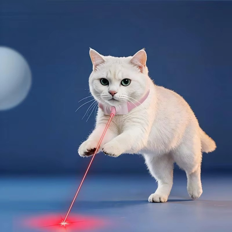 Laserhalsband för Katt