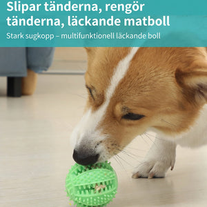 TUGGY™ – Tuggboll med sugfäste