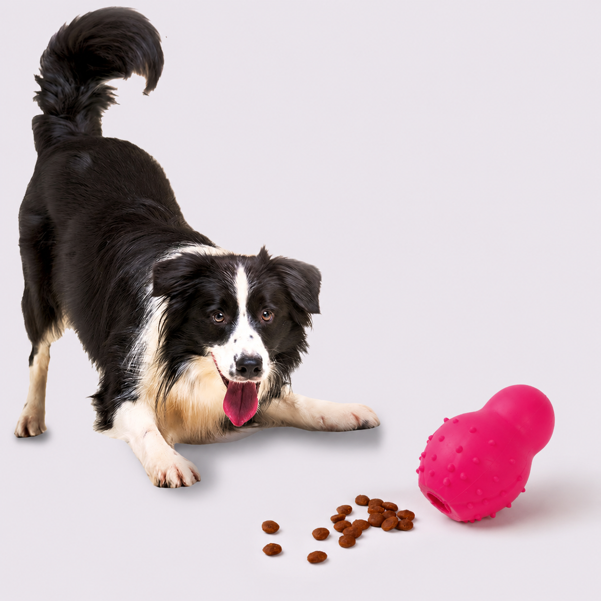 GUMMI – Tuggboll & Belöningsleksak